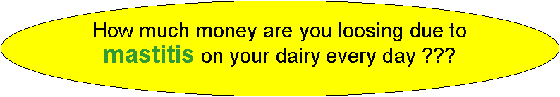 Oval: How much money are you loosing due to mastitis on your dairy every day ???