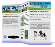Click to view newsletter archive