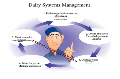 You manage the people who manage your cows